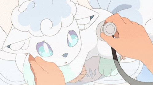 Person Listening To White Animal With Stethoscope GIF