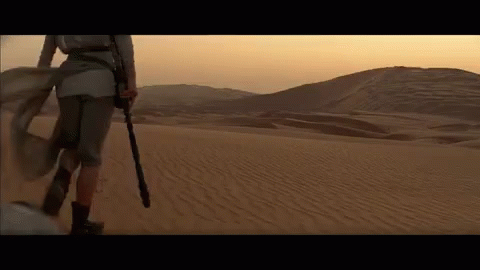 A Person Is Walking Across A Desert Holding A Stick . GIF