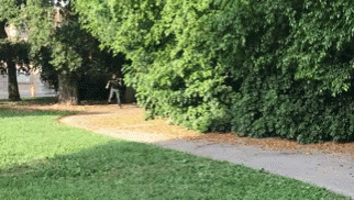A Person Is Walking Down A Path In A Park Surrounded By Trees GIF