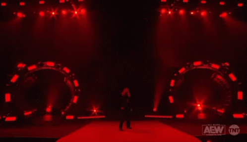 A Person Is Walking Down A Red Carpet On A Stage With Red Lights Behind Them . GIF
