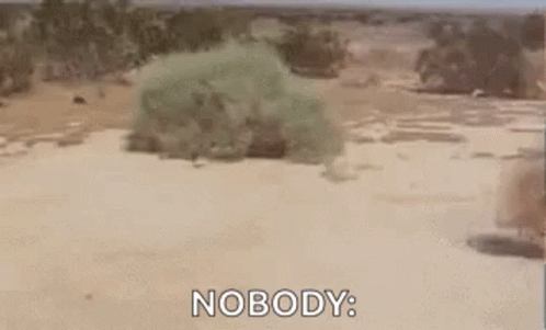 A Person Is Walking Through A Desert With The Words Nobody Behind Them GIF