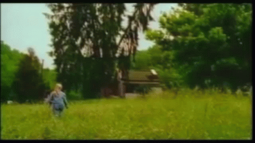 a person is walking through a grassy field with trees in the background .