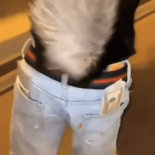 A Person Is Wearing A Pair Of White Jeans With A Black Belt And A Cell Phone In Their Pocket . GIF