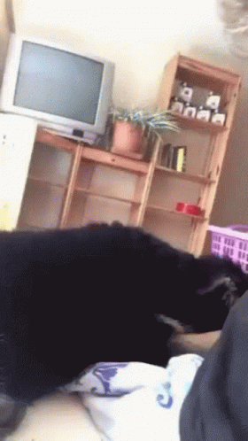 A Person Laying On A Bed In Front Of A Television GIF
