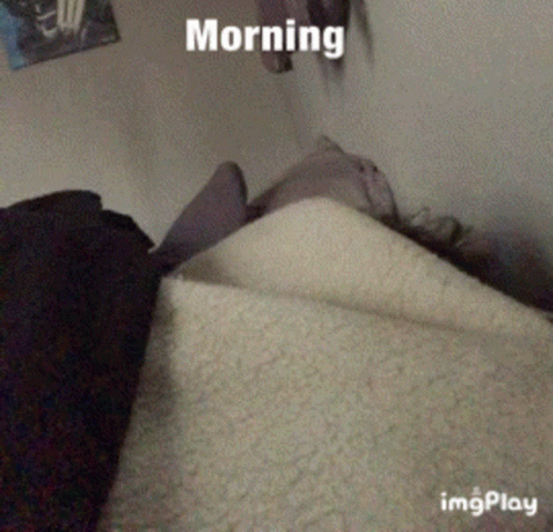 A Person Laying On A Bed With A Blanket And The Words Morning On The Top GIF