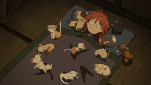 A Person Laying On A Bed With A Bunch Of Cats On It GIF
