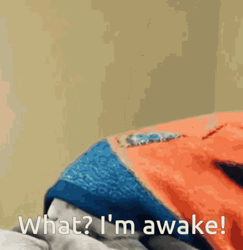 A Person Laying On A Bed With The Words " What ? I 'M Awake " Written Below Them GIF