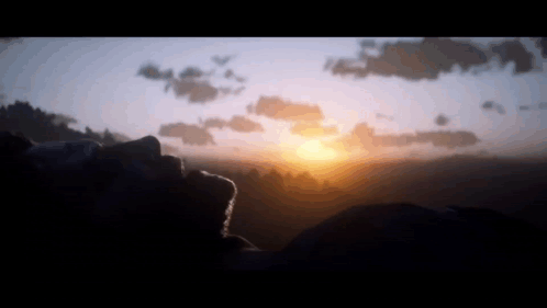 A Person Looking Up At A Sunset With A Silhouette Of Trees In The Background GIF