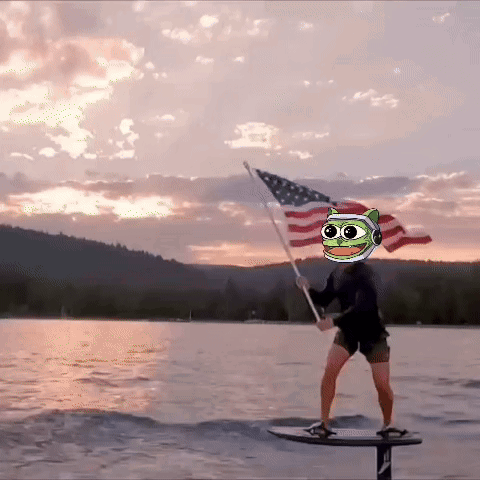 a person on a surfboard holding an american flag with a frog on their head
