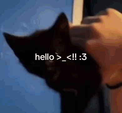 A Person Petting A Black Cat With The Words Hello > < !! : 3 Written Above It GIF
