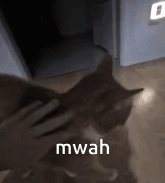A Person Petting A Cat With The Word Mwah Written On The Bottom GIF