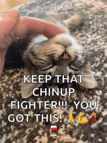 A Person Petting A Cat With The Words Keep That Chinup Fighter !!! You Got This GIF