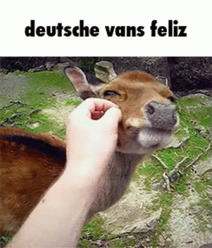 A Person Petting A Deer With The Words " Deutsche Vans Feliz " Above It GIF