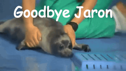 A Person Petting A Seal With The Words Goodbye Jaron Written Above It GIF