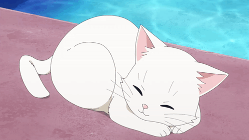 A Person Petting A White Cat With A Blue Background GIF