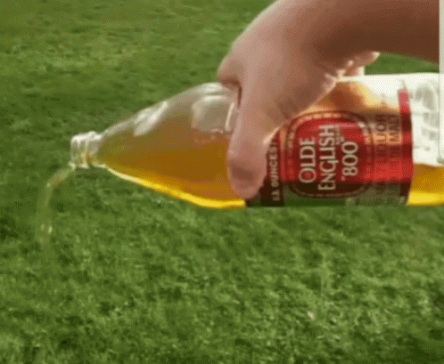 A Person Pouring A Bottle Of Olde English 800 GIF