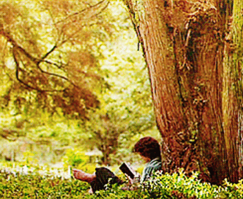 A Person Reading A Book Under A Tree In A Park GIF