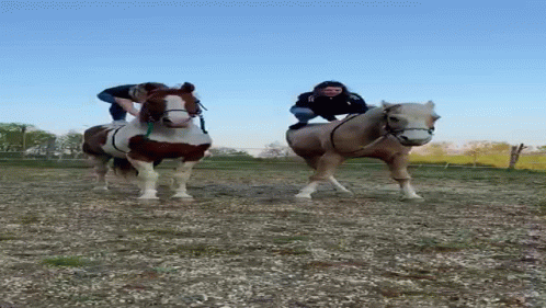 A Person Riding A Brown And White Horse In A Dirt Field GIF
