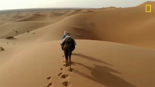 A Person Riding A Camel In The Desert With A National Geographic Logo In The Corner GIF