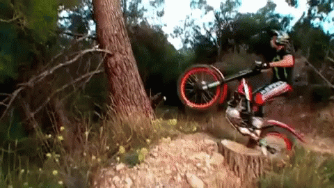 A Person Riding A Dirt Bike In The Woods With A Sticker On The Front That Says ' Simpson ' GIF