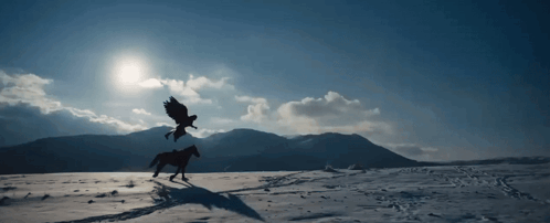 A Person Riding A Horse In A Snowy Field With Birds Flying Overhead GIF