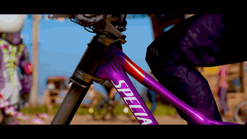 A Person Riding A Purple Specialized Bicycle GIF
