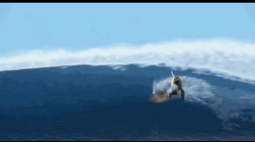 A Person Riding A Wave In The Ocean GIF