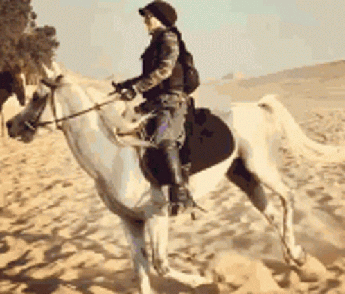 A Person Riding A White Horse In The Desert GIF
