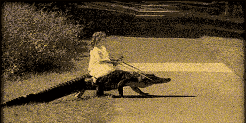 A Person Riding On The Back Of A Large Alligator GIF