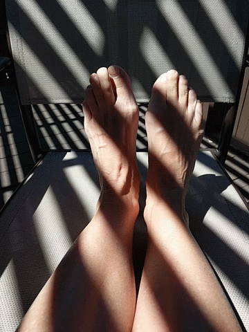 A Person 'S Feet Are Sitting On A Chair With A Shadow Of A Fence Behind Them GIF