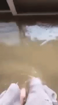 A Person 'S Feet Are Sticking Out Of A Flooded Room . GIF