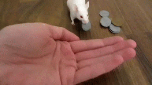 Hand Reaching For Coins On Floor GIF