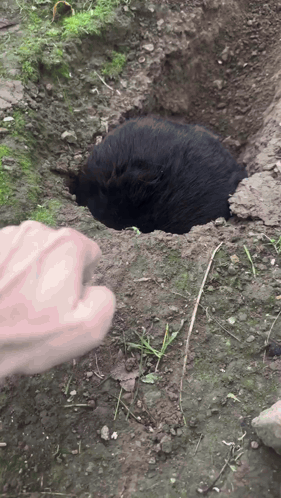 A Person 'S Hand Is Reaching Out Towards A Hole In The Ground GIF