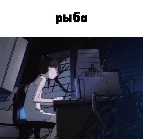 A Person Sitting In Front Of A Computer With The Word Ryba On The Top GIF