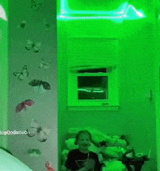 A Person Sitting On A Bed In Front Of A Green Wall With Butterflies GIF