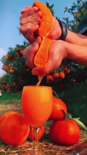 A Person Squeezes An Orange Into A Wine Glass GIF