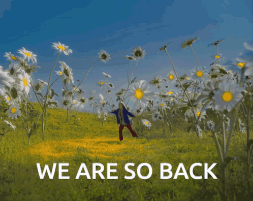 A Person Standing In A Field Of Daisies With The Words " We Are So Back " Below Them GIF