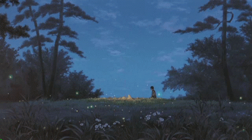 A Person Standing In A Field With Fireflies In The Sky GIF