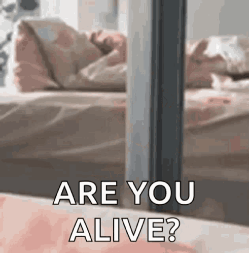 A Person Standing In Front Of A Bed With The Words `` Are You Alive '' Written On It . GIF