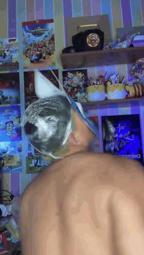 A Person Standing In Front Of A Shelf With A Poster On It That Says ' Clash Of Clans ' GIF