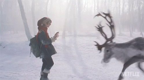 A Person Standing In The Snow Next To A Reindeer With Netflix Written On The Bottom GIF