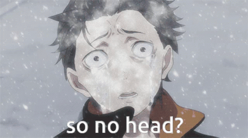 A Person Standing In The Snow With The Words So No Head On The Bottom GIF
