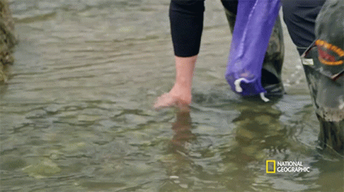 A Person Standing In The Water With A National Geographic Logo GIF