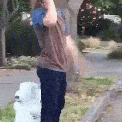 A Person Standing Next To A Fire Hydrant With A Blue Ball On Their Head GIF
