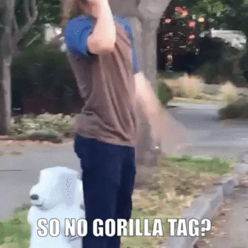 A Person Standing Next To A Stuffed Animal With The Words So No Gorilla Tag On It GIF