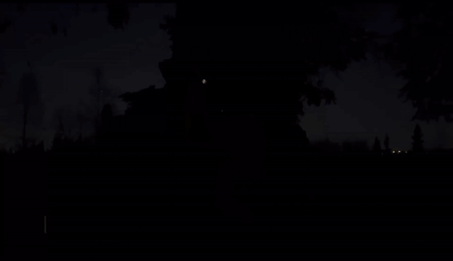 A Person Standing Next To A Tree With The Words We Are So Back GIF