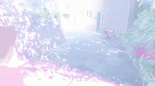 A Person Walking Down A Street With Flowers On The Ground GIF