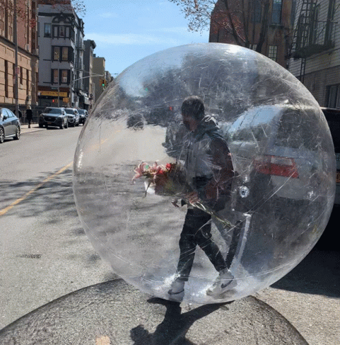 A Person Walking In A Clear Bubble With A Bouquet Of Flowers In Their Hand GIF