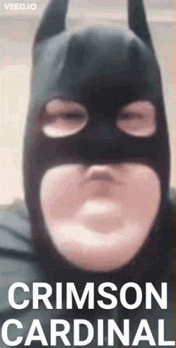 a person wearing a batman mask with the words crimson cardinal below
