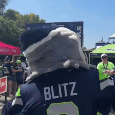 Person In Blitz Jersey In Front Of Crowd GIF
